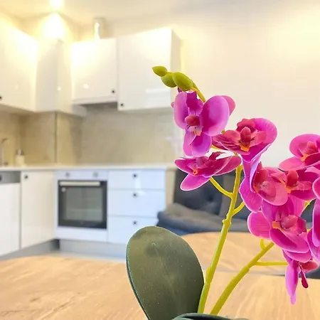 Rose 7 * ألانيا